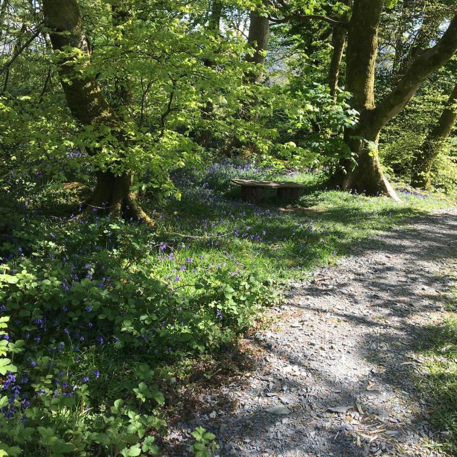 ホテル 173A Woodland Way ポルスマドグ エクステリア 写真